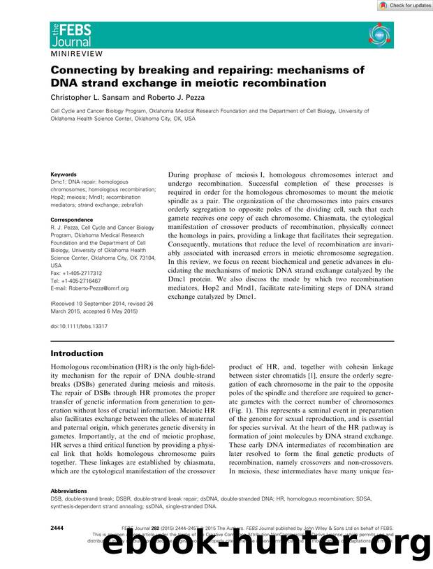 Connecting by breaking and repairing: mechanisms of DNA strand exchange in meiotic recombination by Unknown