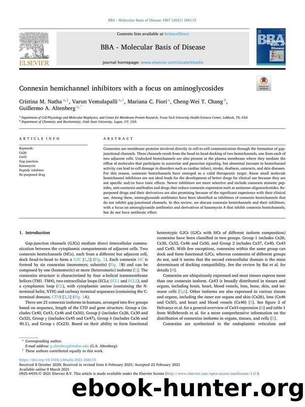 Connexin hemichannel inhibitors with a focus on aminoglycosides by unknow