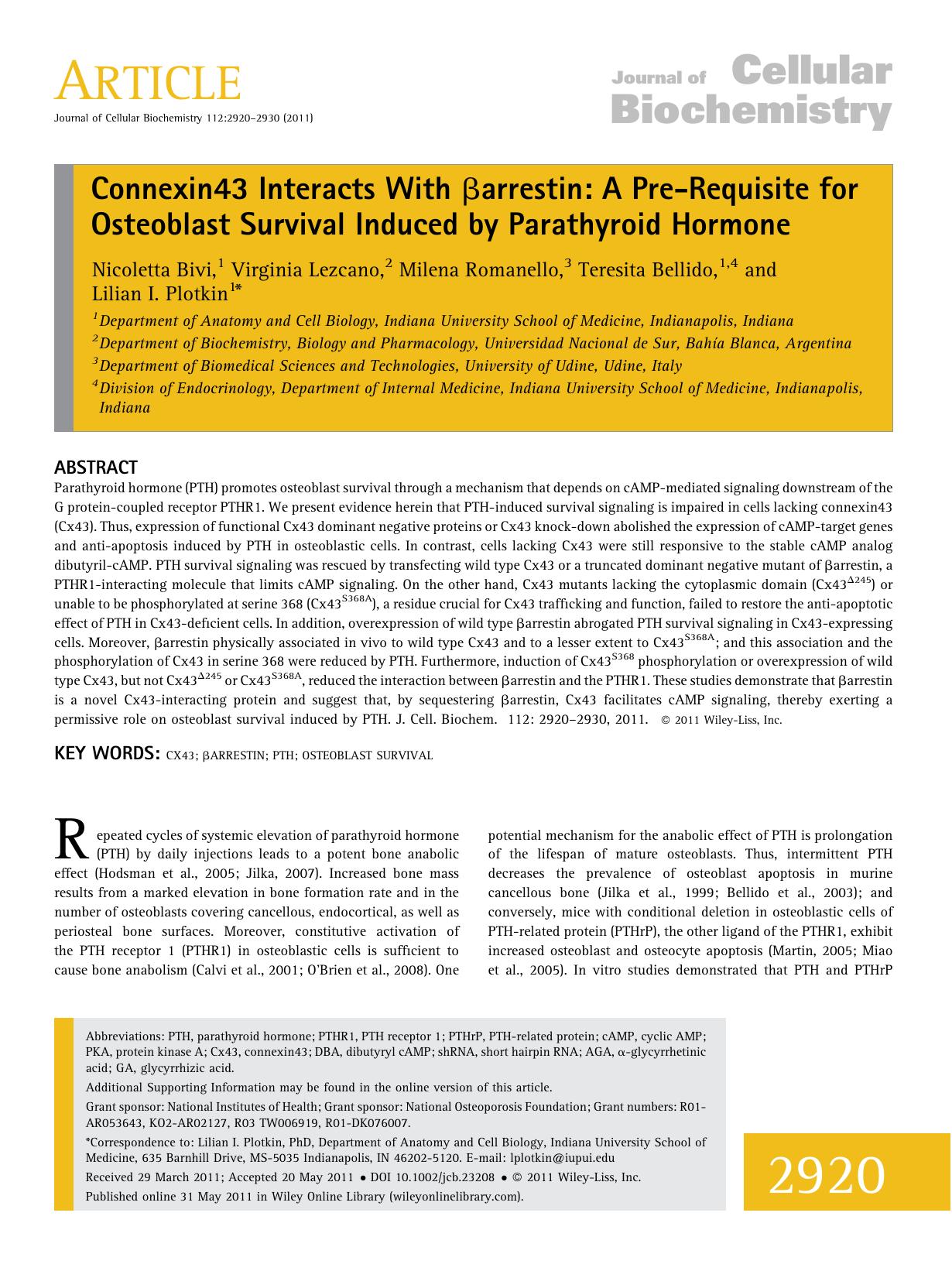 Connexin43 interacts with arrestin: A prerequisite for osteoblast survival induced by parathyroid hormone by Unknown