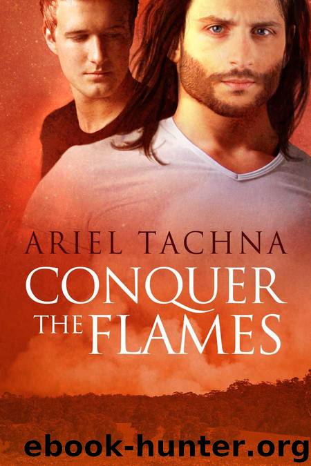 Conquer the Flames (Langs Down) by Tachna Ariel