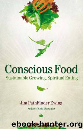 Conscious Food by Jim PathFinder Ewing