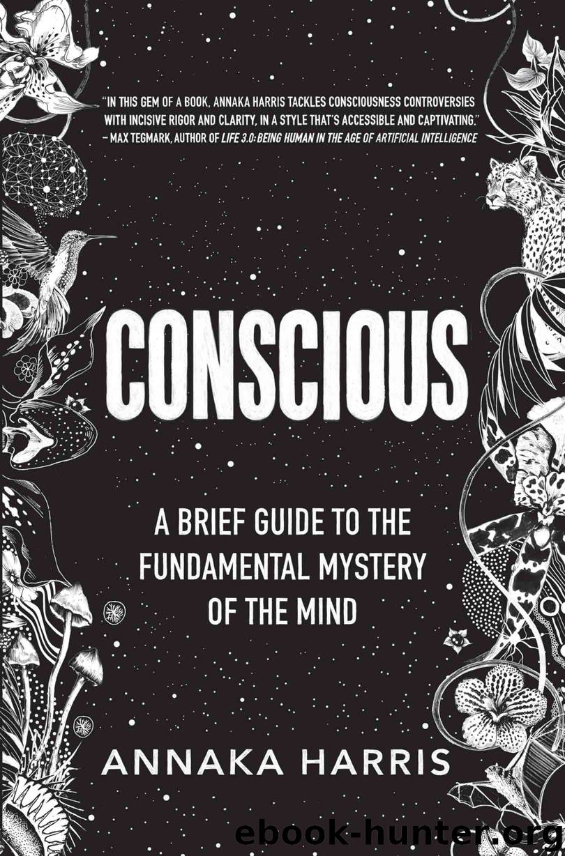 Conscious by Annaka Harris