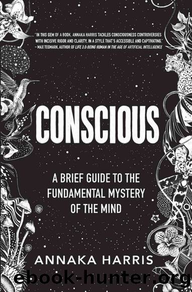 Conscious: A Brief Guide to the Fundamental Mystery of the Mind by Annaka Harris