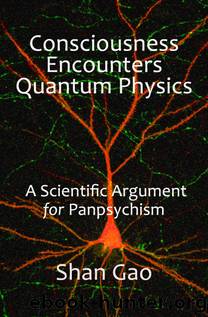 Consciousness Encounters Quantum Physics: A Scientific Argument for Panpsychism by Shan Gao