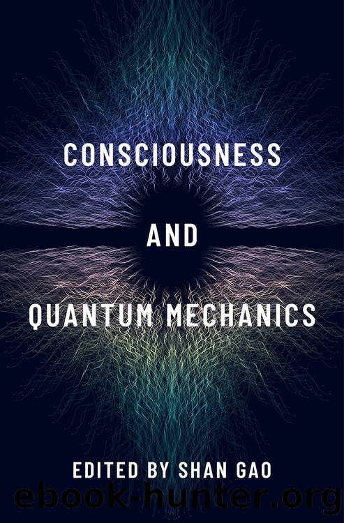 Consciousness and Quantum Mechanics by Shan Gao