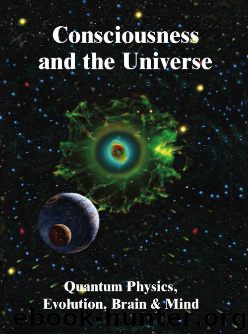 Consciousness and the Universe: Quantum Physics, Evolution, Brain & Mind by unknow