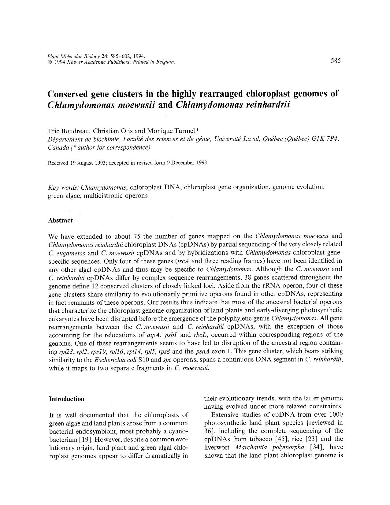 Conserved gene clusters in the highly rearranged chloroplast genomes of <Emphasis Type="Italic">Chlamydomonas moewusii <Emphasis> and <Emphasis Type="Italic">Chlamydomonas reinhardtii <Emphasis> by Unknown
