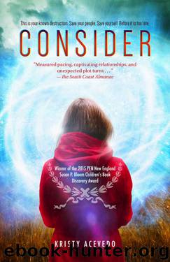 Consider (The Holo Series) by Kristy Acevedo