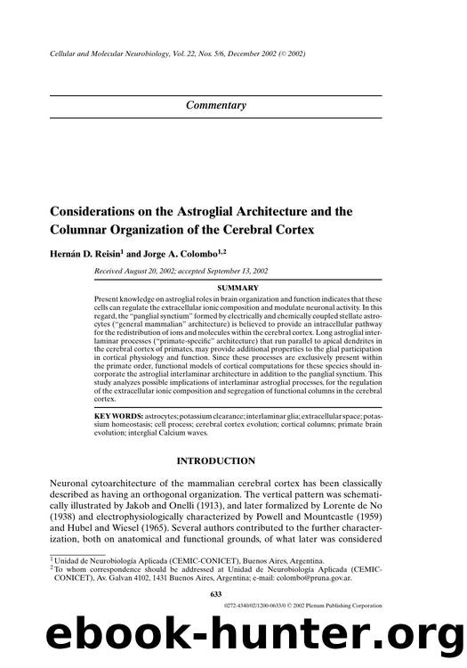 Considerations on the Astroglial Architecture and the Columnar Organization of the Cerebral Cortex by Unknown