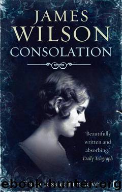 Consolation by James Wilson