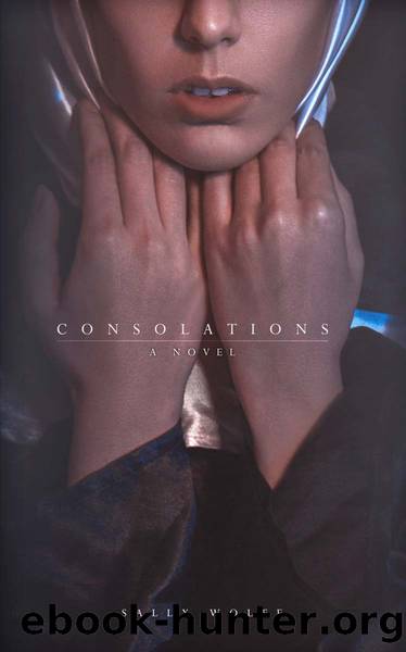 Consolations by Sally Wolfe