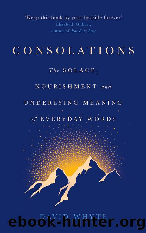 Consolations: The Solace, Nourishment and Underlying Meaning of Everyday Words by Whyte David;