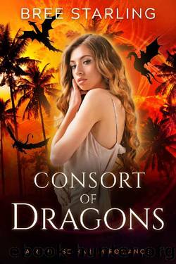 Consort of Dragons: A Reverse Harem Standalone Dragon Shifter Romance by Bree Starling
