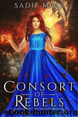 Consort of Rebels: A Reverse Harem Urban Fantasy (Magic Awakened Book 3) by Sadie Moss