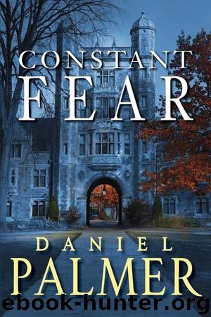 Constant Fear by Palmer Daniel