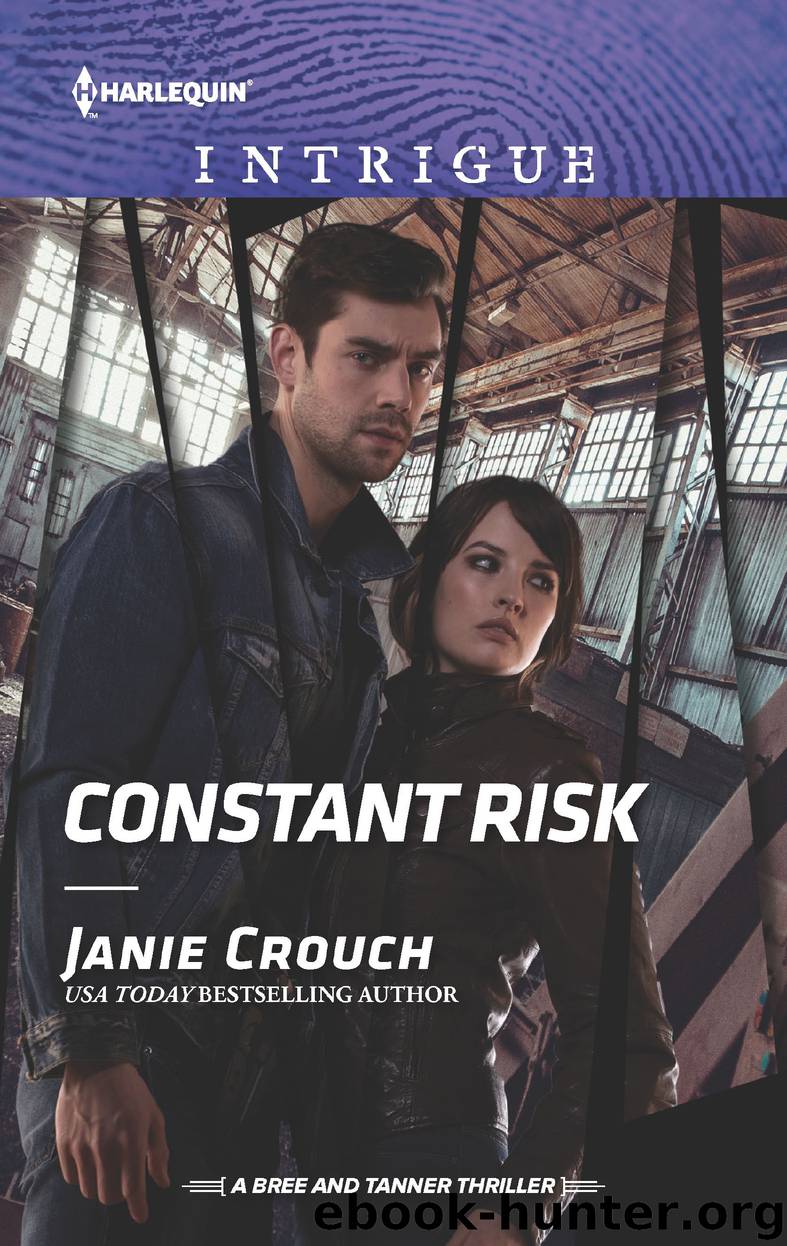 Constant Risk by Janie Crouch