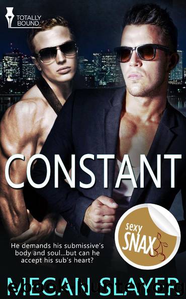 Constant by Megan Slayer