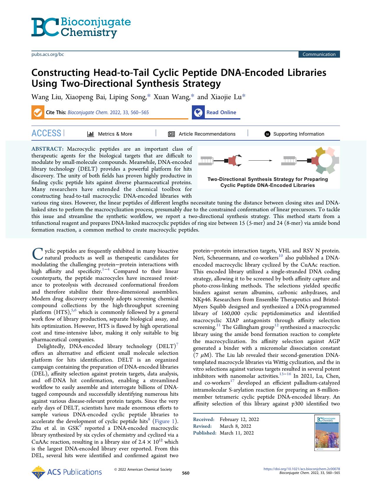 Constructing Head-to-Tail Cyclic Peptide DNA-Encoded Libraries Using Two-Directional Synthesis Strategy by Wang Liu Xiaopeng Bai Liping Song Xuan Wang and Xiaojie Lu