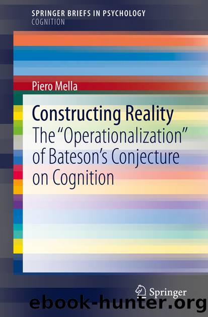Constructing Reality by Piero Mella