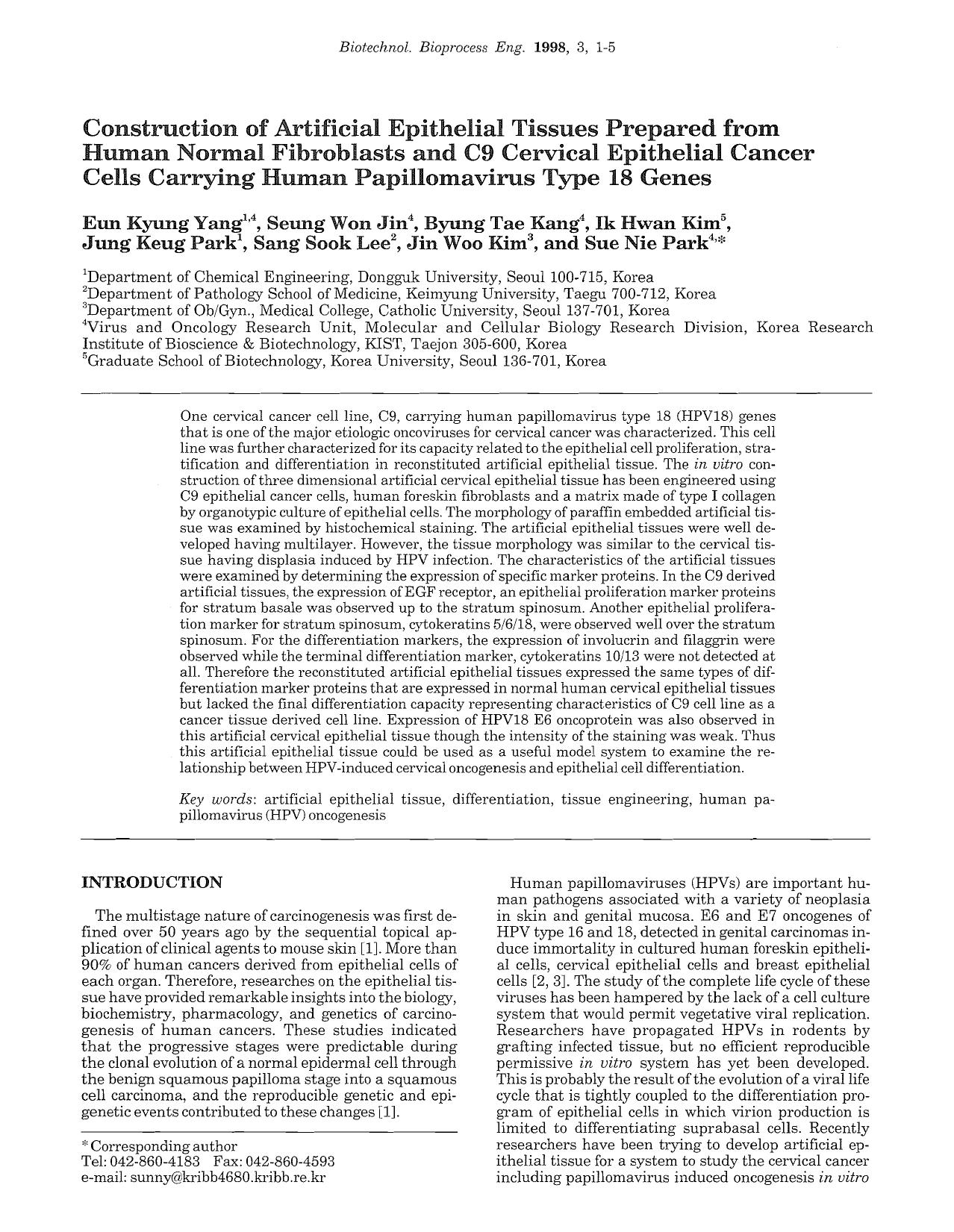 Construction of artificial epithelial tissues prepared from human normal fibroblasts and C9 cervical epithelial cancer cells carrying human papillomavirus type 18 genes by Unknown