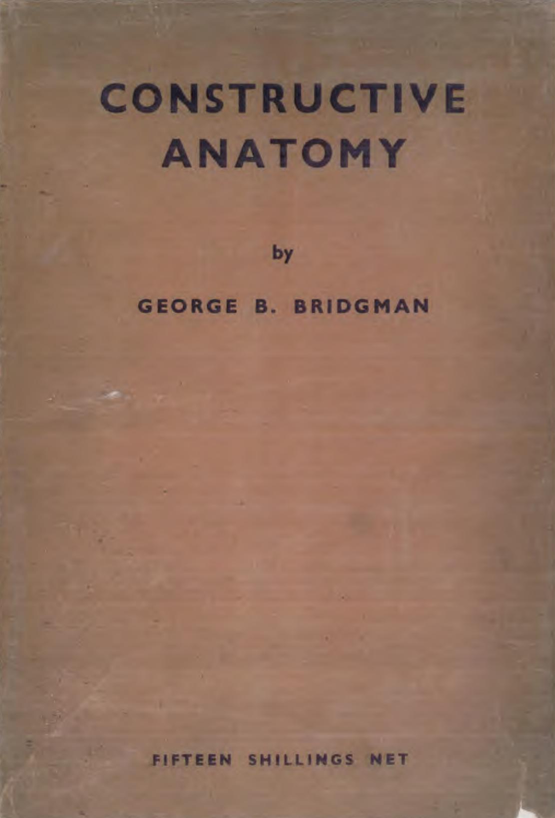Constructive anatomy by George B. Bridgeman
