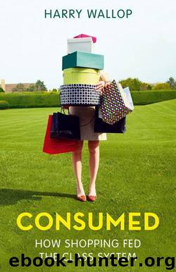 Consumed: How Shopping Fed the Class System by Wallop Harry