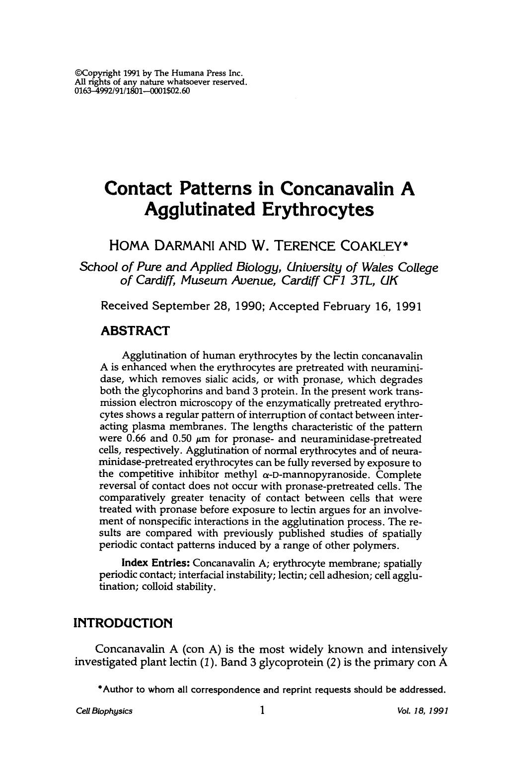 Contact patterns in concanavalin A agglutinated erythrocytes by Unknown