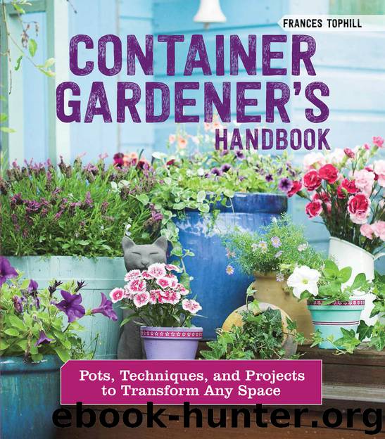 Container Gardener's Handbook by Frances Tophill