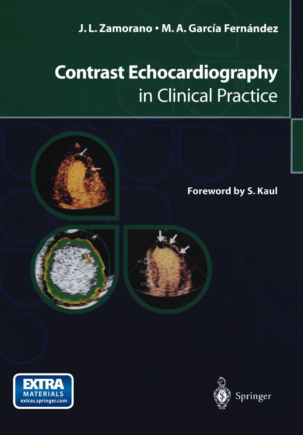 Contrast Echocardiography in Clinical Practice by José Luis Zamorano Miguel Angel García Fernández (auth.)