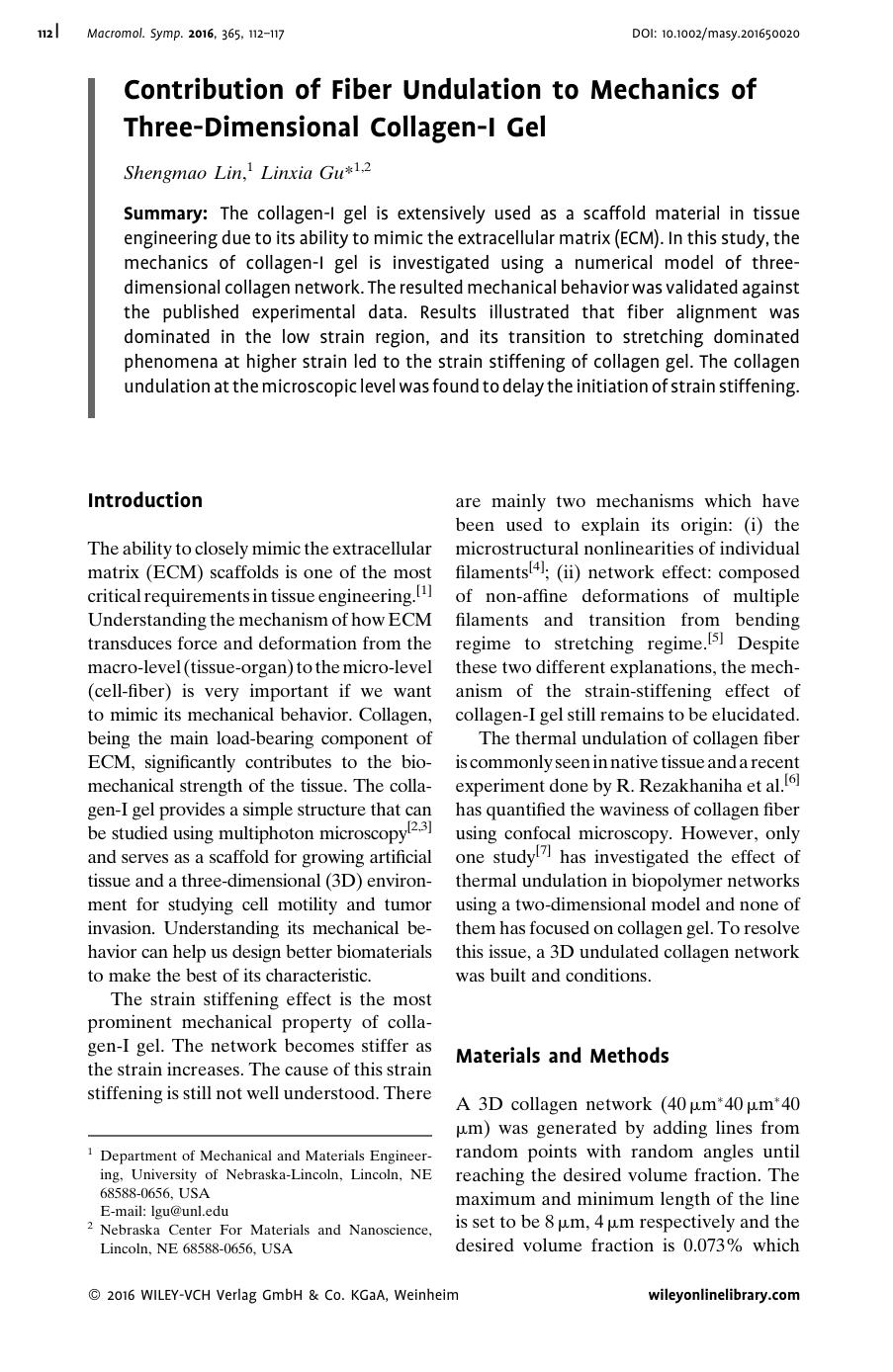 Contribution of Fiber Undulation to Mechanics of Three-Dimensional Collagen-I Gel by Unknown