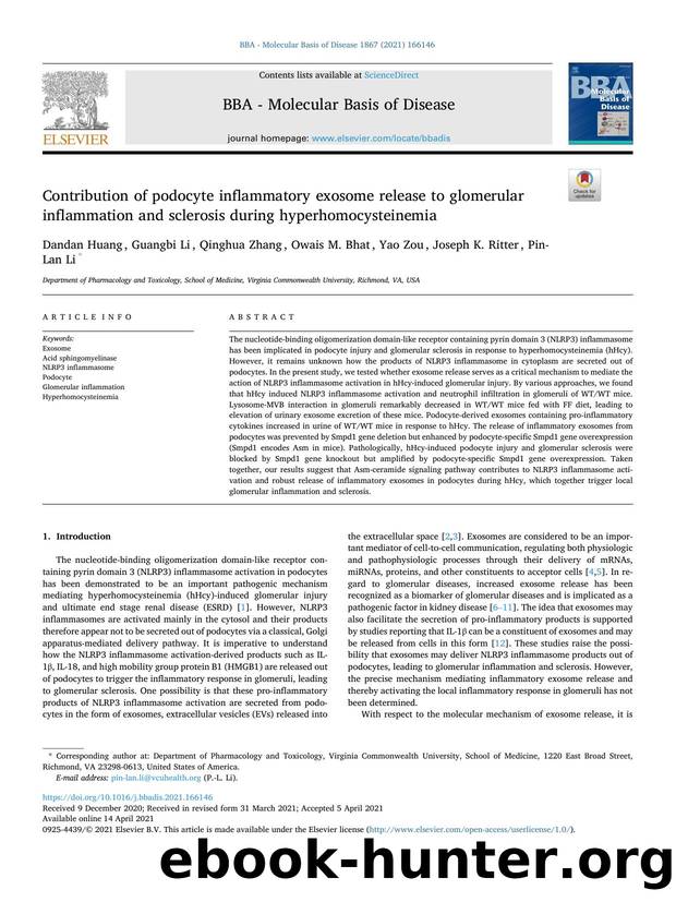 Contribution of podocyte inflammatory exosome release to glomerular inflammation and sclerosis during hyperhomocysteinemia by Dandan Huang & Guangbi Li & Qinghua Zhang & Owais M. Bhat & Yao Zou & Joseph K. Ritter & Pin-Lan Li