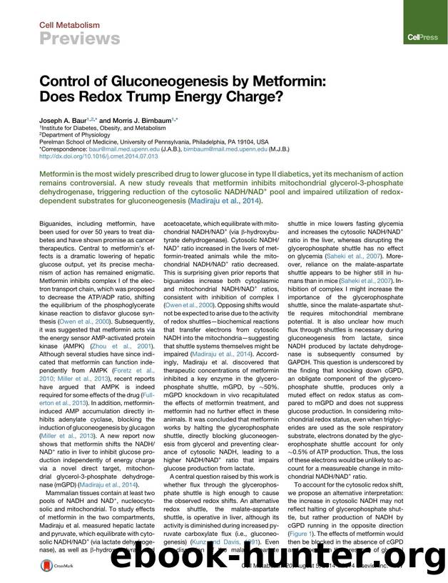 Control of Gluconeogenesis by Metformin: Does Redox Trump Energy Charge? by Joseph A. Baur & Morris J. Birnbaum
