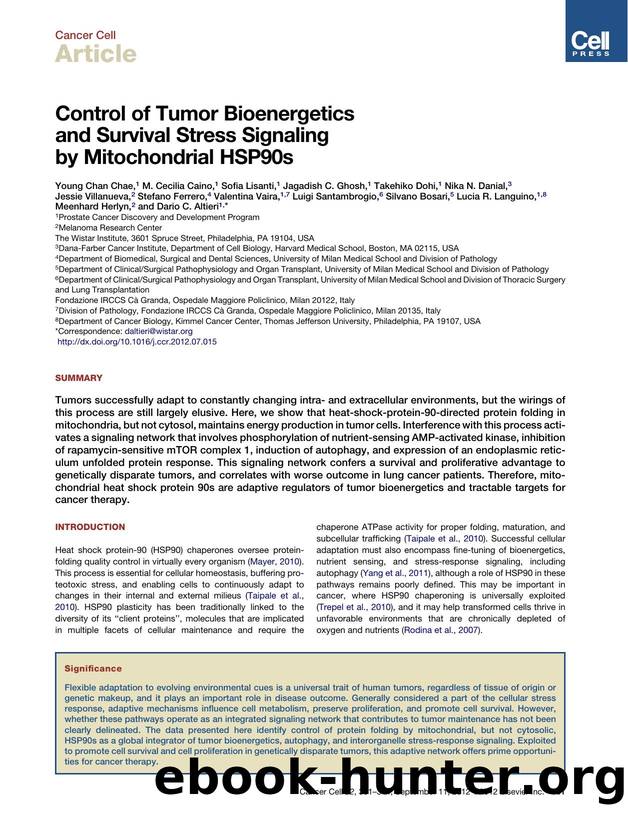 Control of Tumor Bioenergetics and Survival Stress Signaling by Mitochondrial HSP90s by Young Chan Chae et al