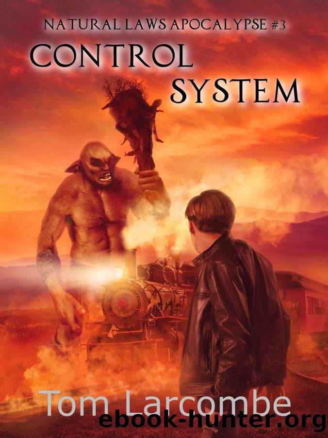 Control system by Larcombe Tom