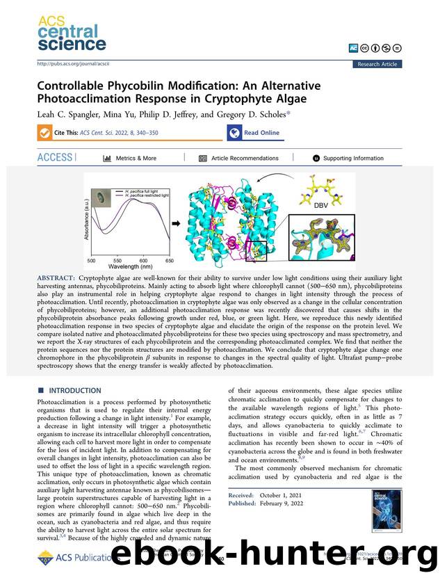 Controllable Phycobilin Modification: An Alternative Photoacclimation Response in Cryptophyte Algae by Leah C. Spangler & Mina Yu & Philip D. Jeffrey & Gregory D. Scholes (ORCID: g/0000-0003-3336-7960)