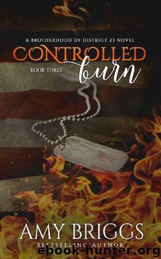 Controlled Burn (The Brotherhood of District 23) by Amy Briggs