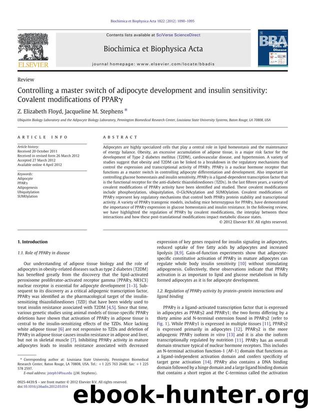 Controlling a master switch of adipocyte development and insulin sensitivity: Covalent modifications of PPARÎ³ by Z. Elizabeth Floyd & Jacqueline M. Stephens