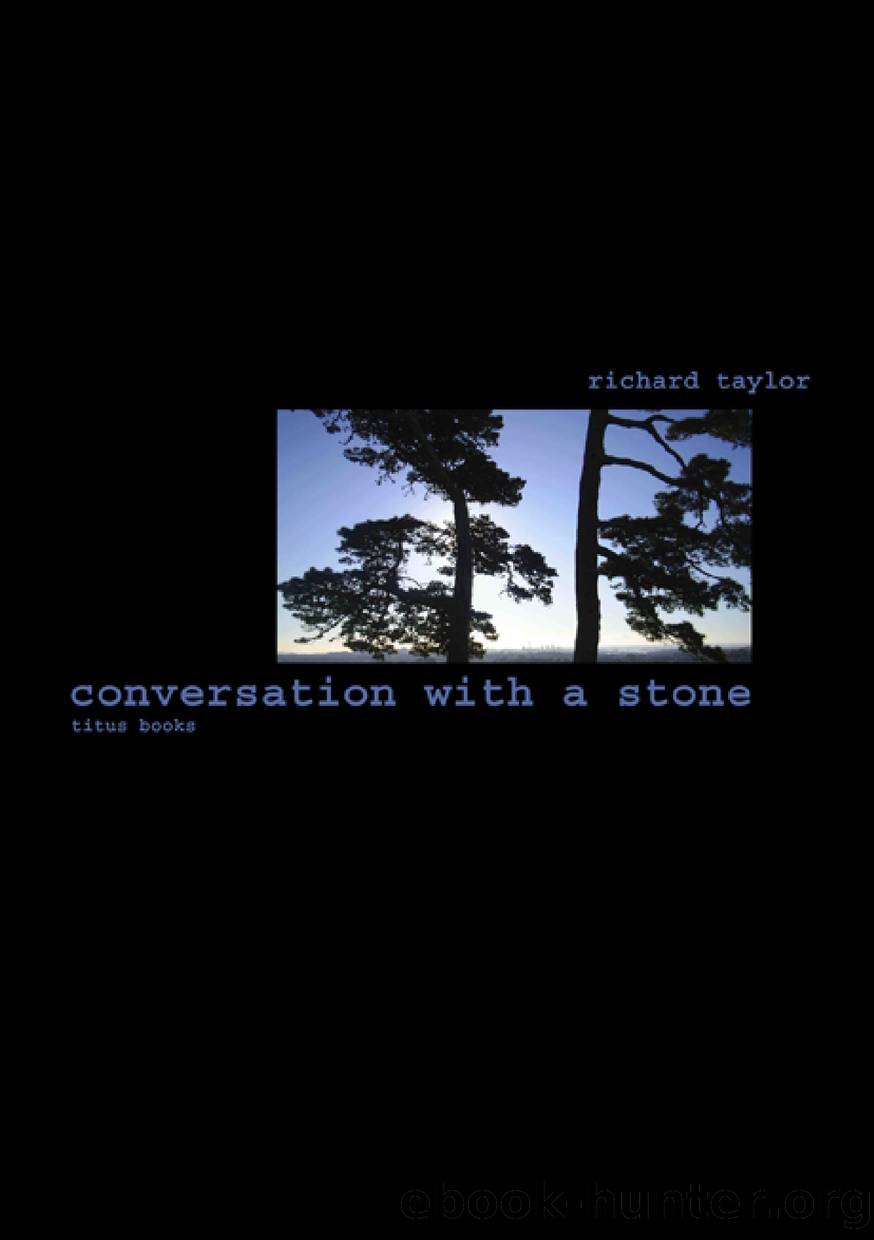 Conversation with a Stone by Richard Taylor
