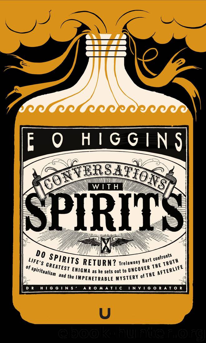 Conversations with Spirits by E. O. Higgins