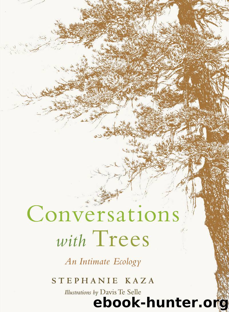 Conversations with Trees by Stephanie Kaza