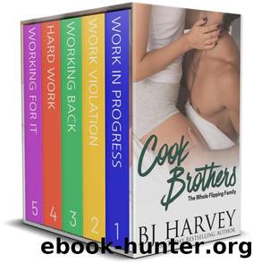 Cook Brothers: The Whole Flipping Family by BJ Harvey