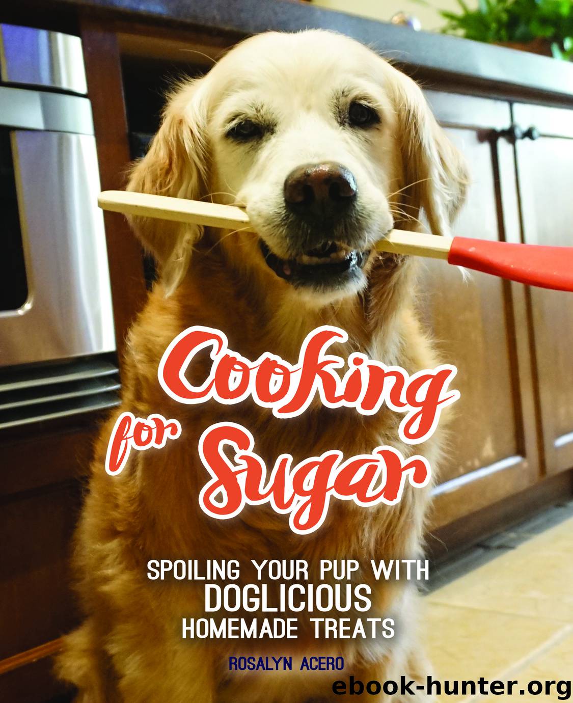 Cooking for Sugar by rosalyn acero