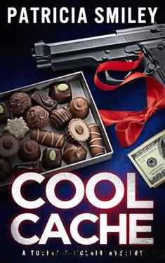 Cool Cache (Tucker Sinclair Series Book 4) by Patricia Smiley