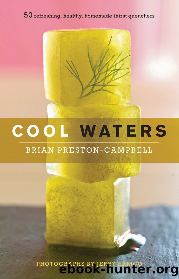Cool Waters: 50 Refreshing, Healthy, Homemade Thirst Quenchers by Brian Preston-Campbell
