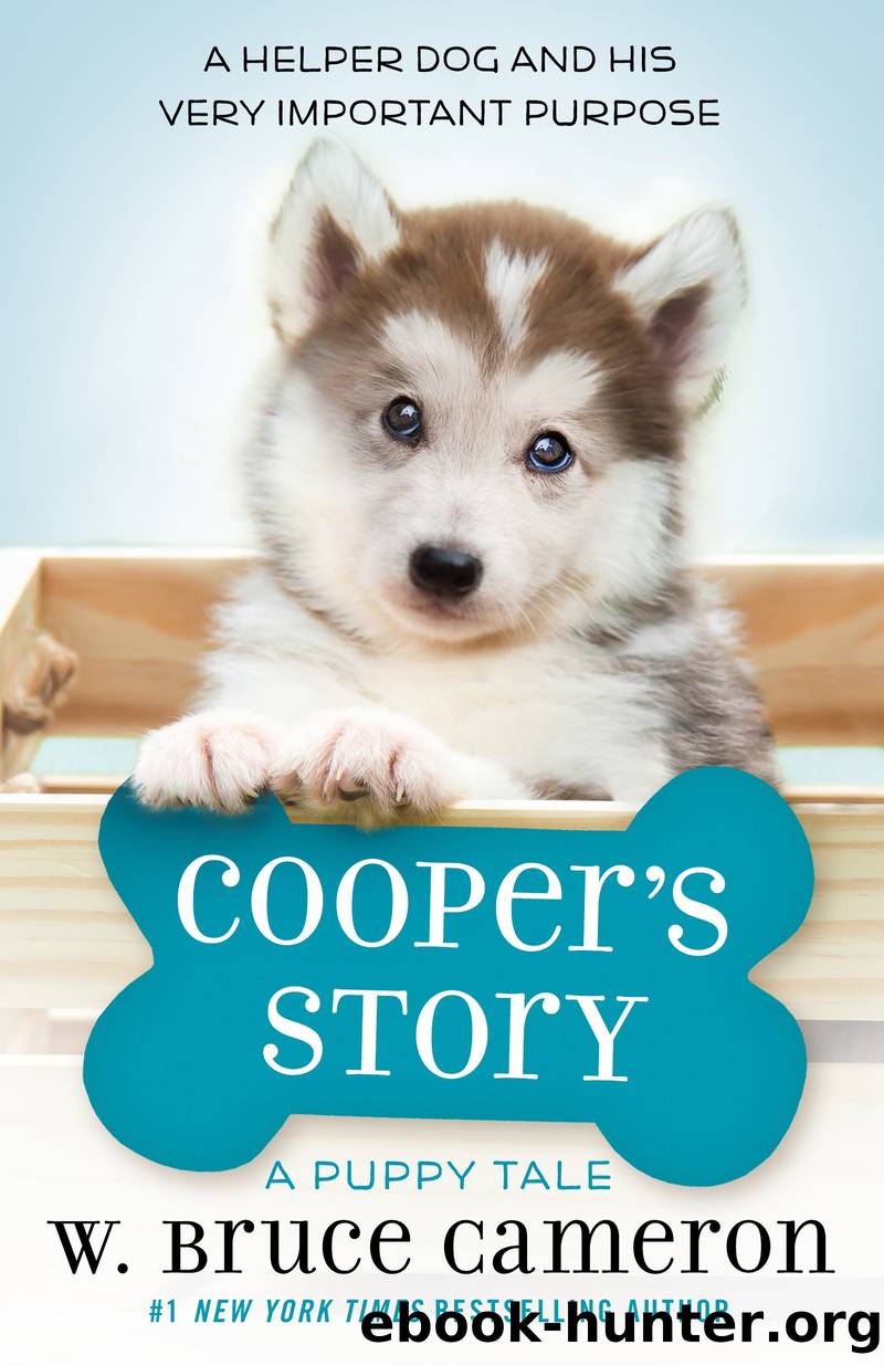 Cooper's Story by W. Bruce Cameron