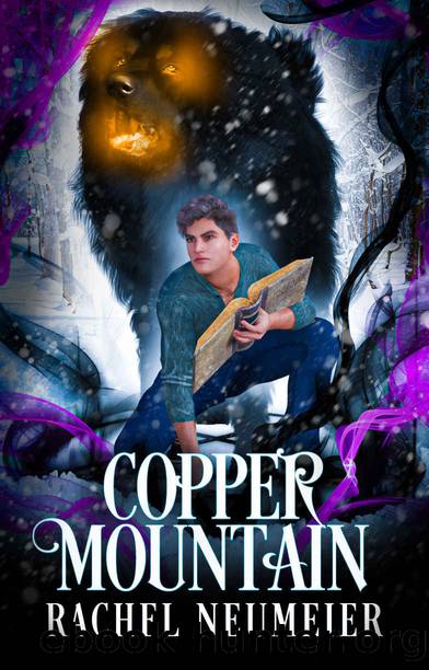 Copper Mountain (Black Dog Book 7) by Rachel Neumeier