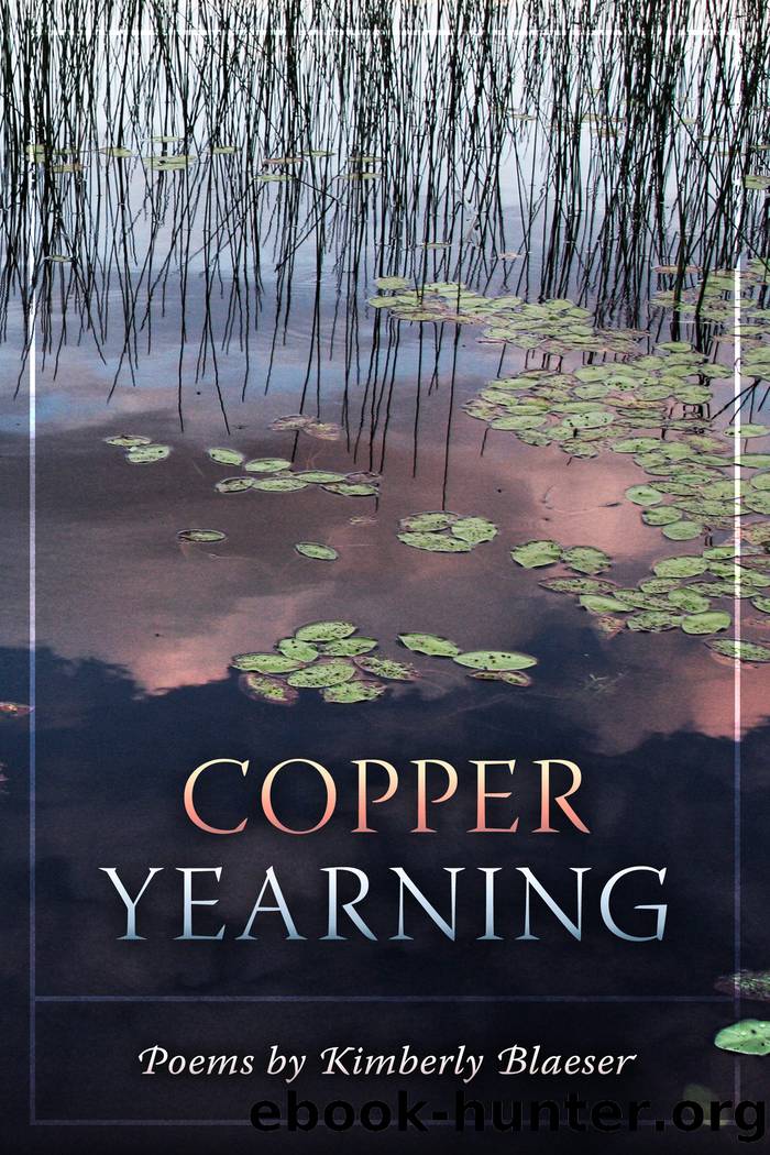 Copper Yearning by Kimberly Blaeser