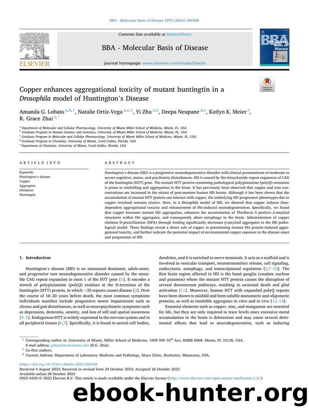 Copper enhances aggregational toxicity of mutant huntingtin in a Drosophila model of Huntington's Disease by Amanda G. Lobato & Natalie Ortiz-Vega & Yi Zhu & Deepa Neupane & Katlyn K. Meier & R. Grace Zhai