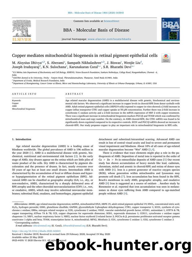 Copper mediates mitochondrial biogenesis in retinal pigment epithelial cells by unknow