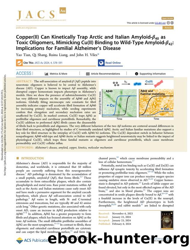 Copper(II) Can Kinetically Trap Arctic and Italian Amyloid-Î²40 as Toxic Oligomers, Mimicking Cu(II) Binding to Wild-Type Amyloid-Î²42: Implications for Familial Alzheimerâs Disease by Yao Tian Qi Shang Ruina Liang & John H. Viles